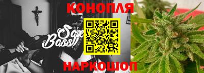 гашик Дубна