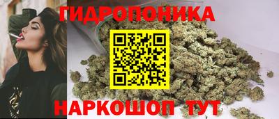гашик Дубна