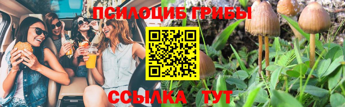 Псилоцибиновые грибы Psilocybine cubensis  купить закладку  Кузнецк  Вход с VPN 